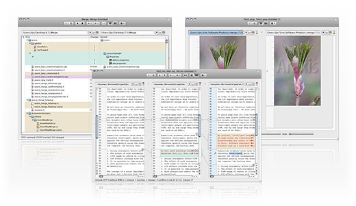 Araxis Merge 2011.4026 (Mac Os X)