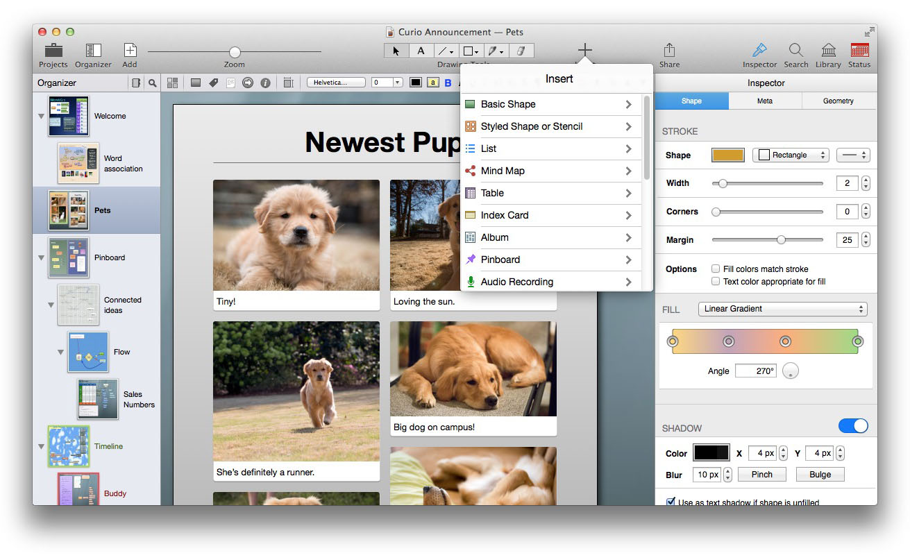 Curio 10.0 (Mac OS X)