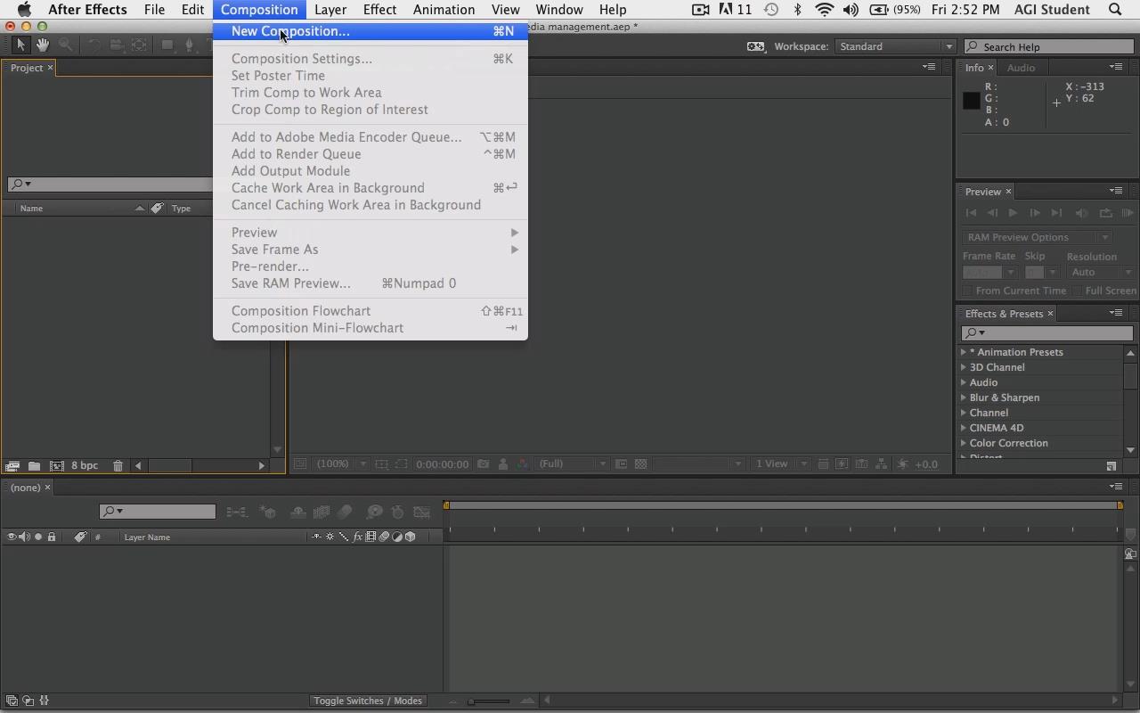 LearnNowOnline - After Effects CC, Part 1: Preview & Management