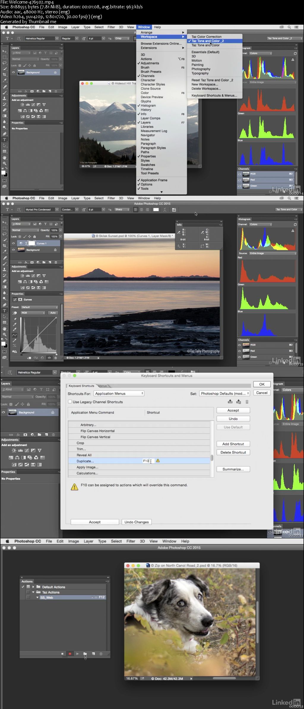 Lynda - Customize Photoshop: A Practical Approach