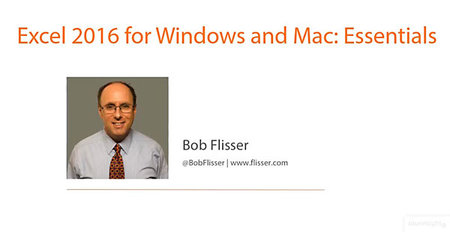 Excel 2016 for Windows and Mac: Essentials [repost]