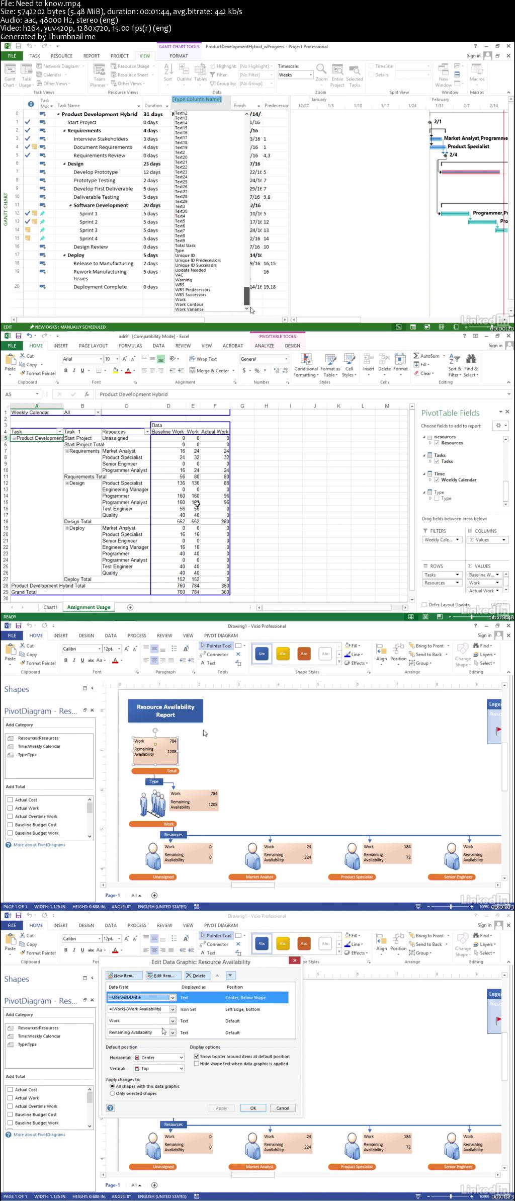 Visualizing a Report in Microsoft Project