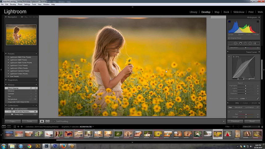 LJ Holloway - Photography Editing Video Bundle