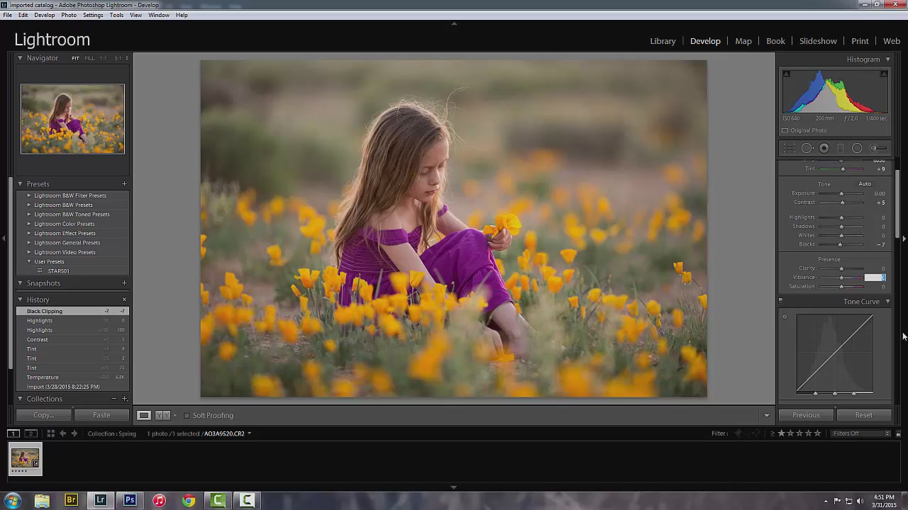 LJ Holloway - Photography Editing Video Bundle