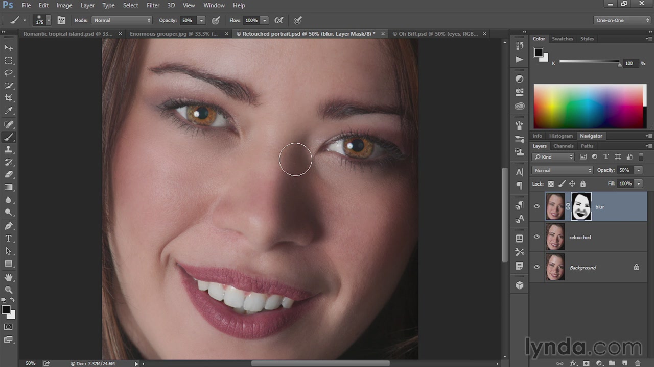 Lynda - Eight Things Everyone Should Know about Photoshop