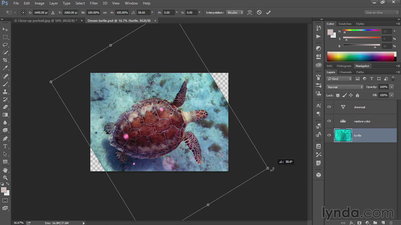 Lynda - Eight Things Everyone Should Know about Photoshop