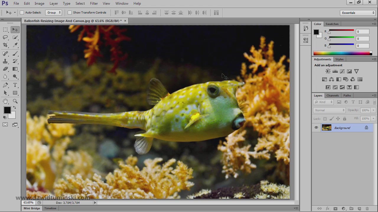 Practical Photoshop: How To Make Your Photos Look Great