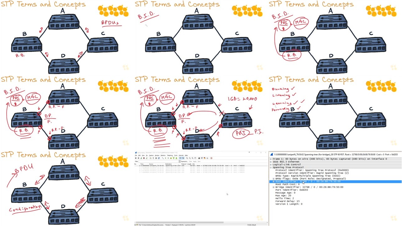 CBT Nuggets - JNCIS-ENT (JN0-343) - Layer 2