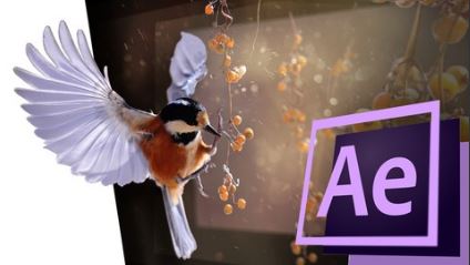 Turn a 2d photo into a 3d animation with After Effects