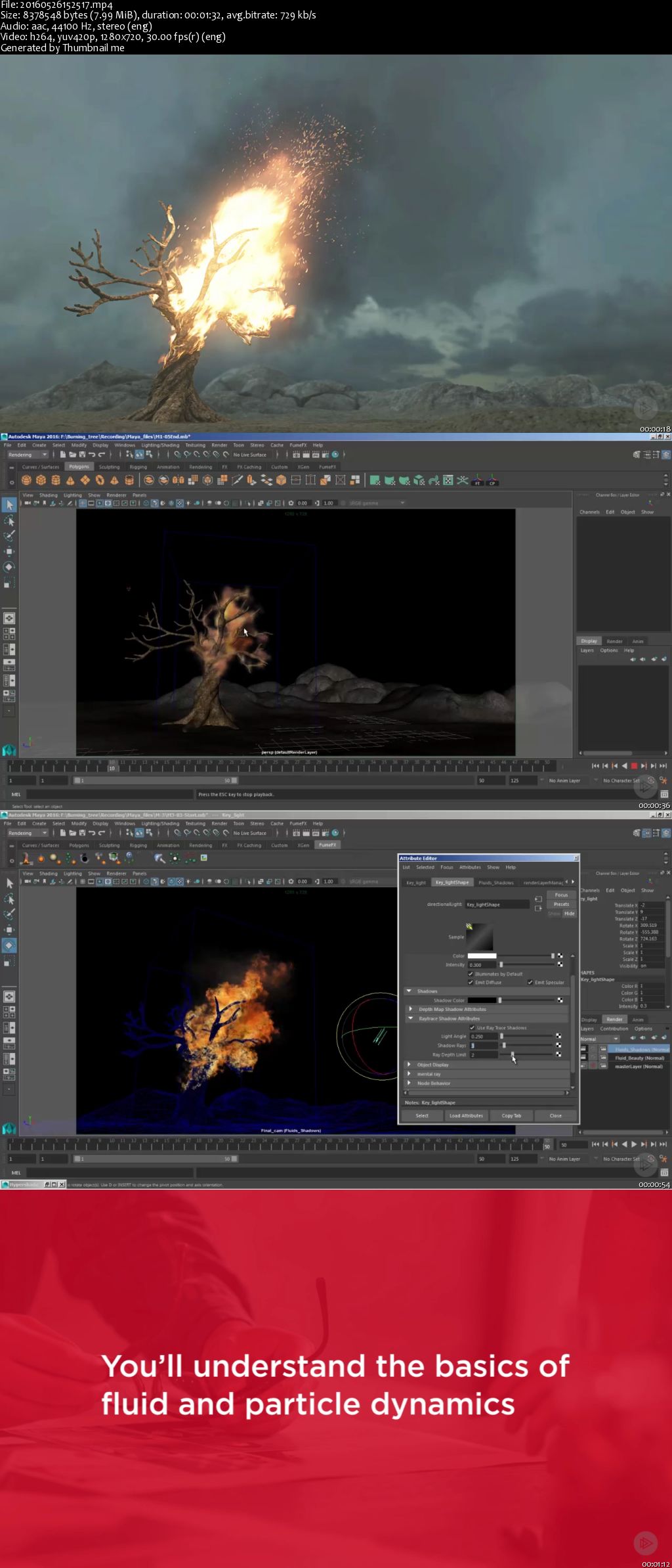 Simulating a Burning Tree in Maya (2016)