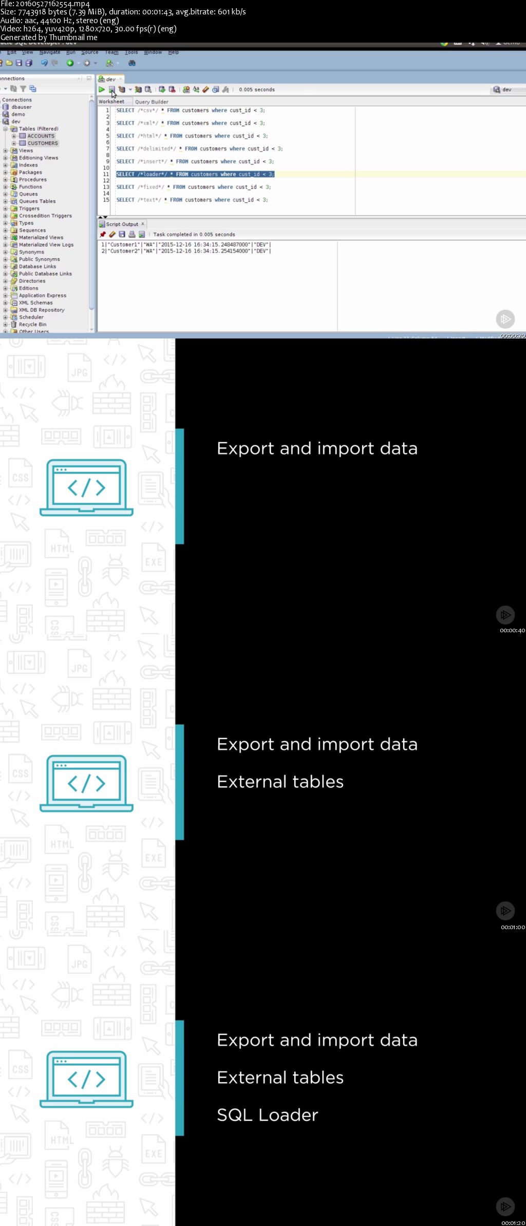 Importing and Exporting Oracle Data for Developers