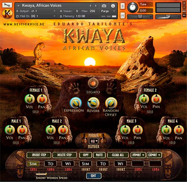 Best Service - Kwaya Library KONTAKT