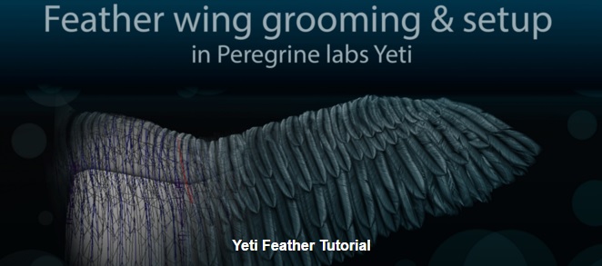 Gumroad – Feather wing grooming and setup in Peregrine labs Yeti