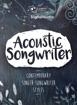 Dieguis Productions - Acoustic Songwriter MULTiFORMAT screenshot