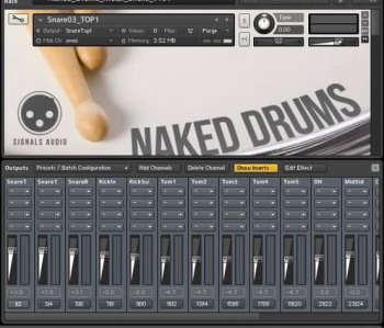 Wilkinson Audios Naked Drums MULTIFORMAT screenshot