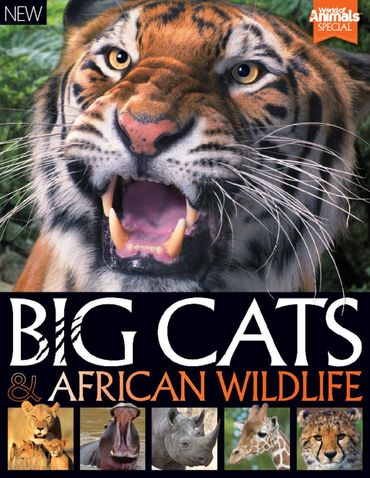 World Of Animals Book Of Big Cats And African Wildlife 2nd Edition-P2P