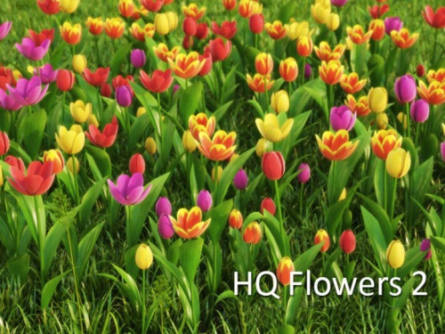 vrayc4d – HD Flowers vol.2 for Cinema4D