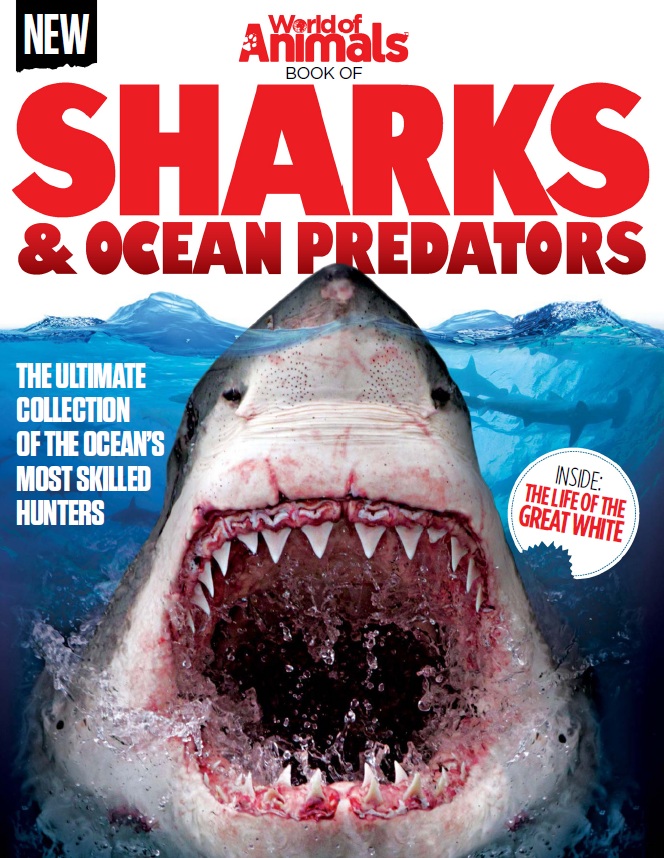 World of Animals – Book of Sharks & Ocean Predators-P2P