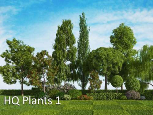 vrayc4d – HQ Plants vol.1 for Cinema4D Part 2