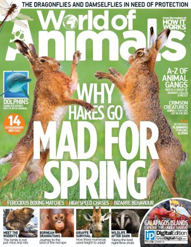 World of Animals – Issue 31 2016-P2P