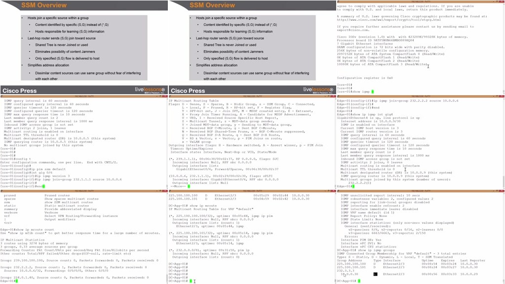 IP Multicast Fundamentals LiveLessons (Workshop)