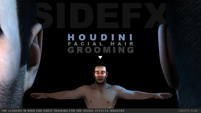 Houdini Facial Hair Grooming