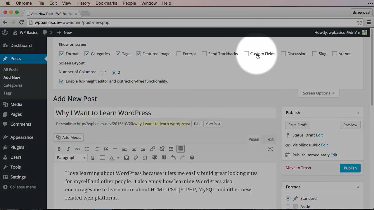 Teamtreehouse - WordPress Basics