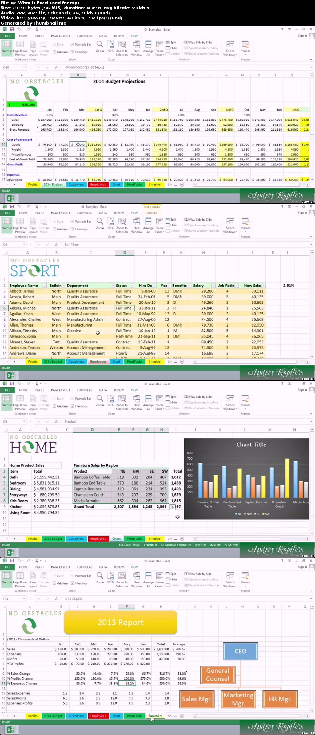 Excel 2013 Essential Training