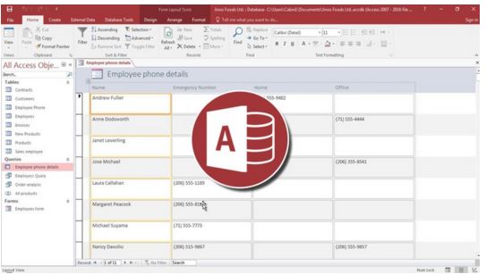 Microsoft Access 2016