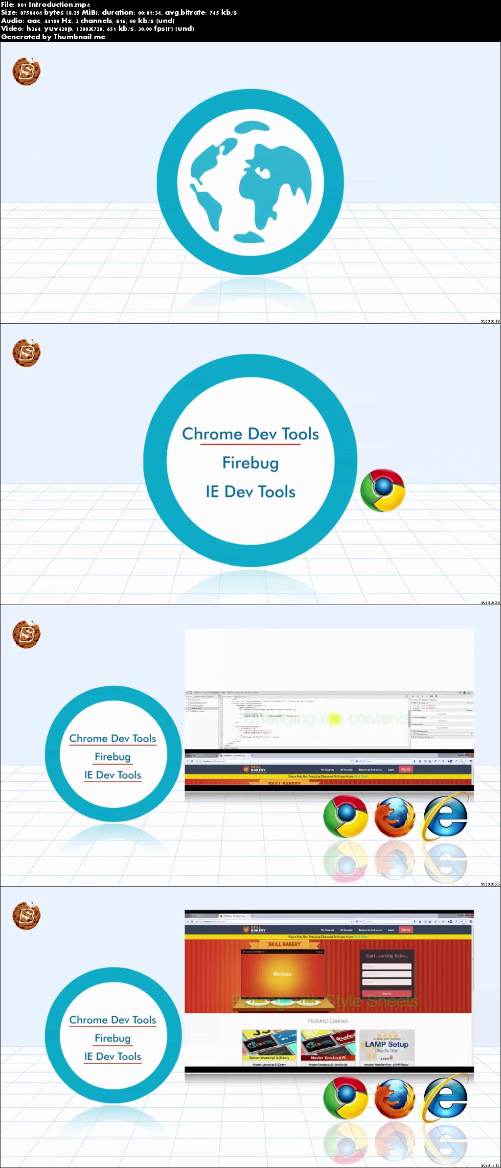 Browser Developer Tools