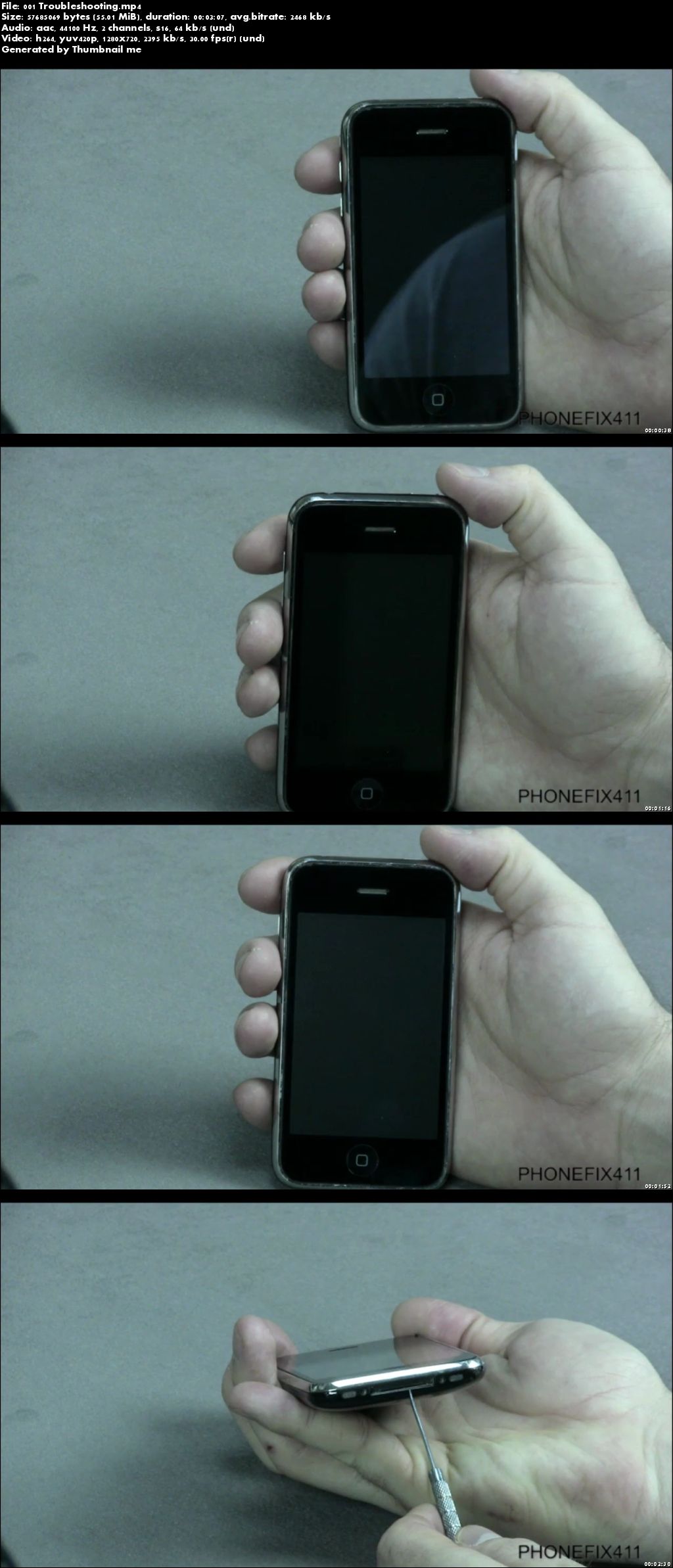 Cell Phone Repair: iPhone 3GS