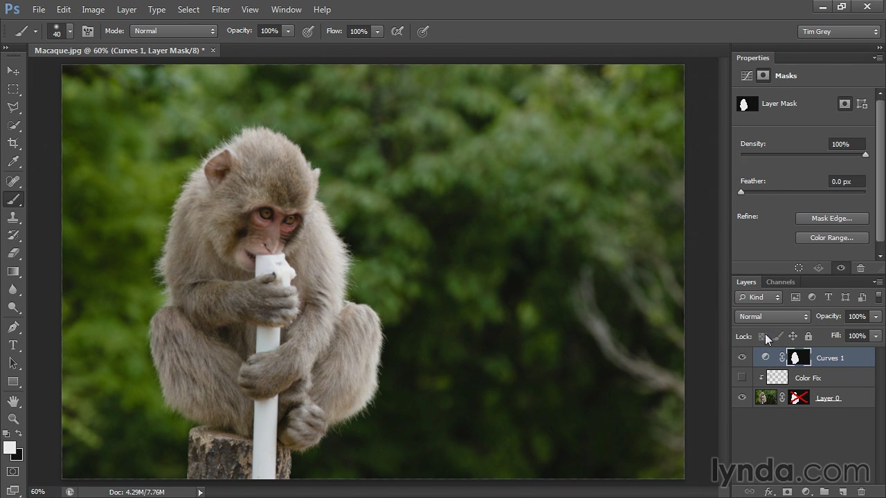 Lynda - Photoshop CS6 Selections and Layer Masking Workshop