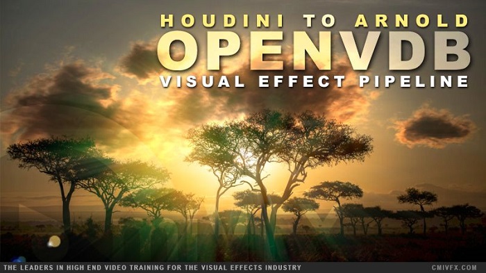 Houdini Arnold VDB Workflow