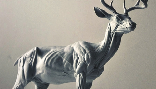 Sculpting Animals with Steve Lord