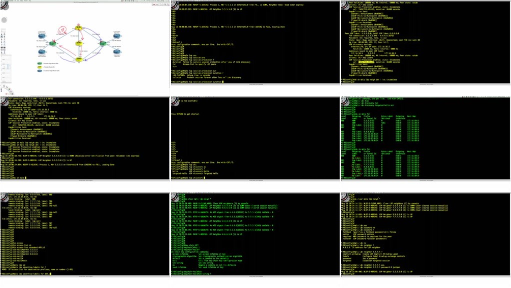 INE - The CCIE Candidate’s Guide to MPLS L3 VPNs