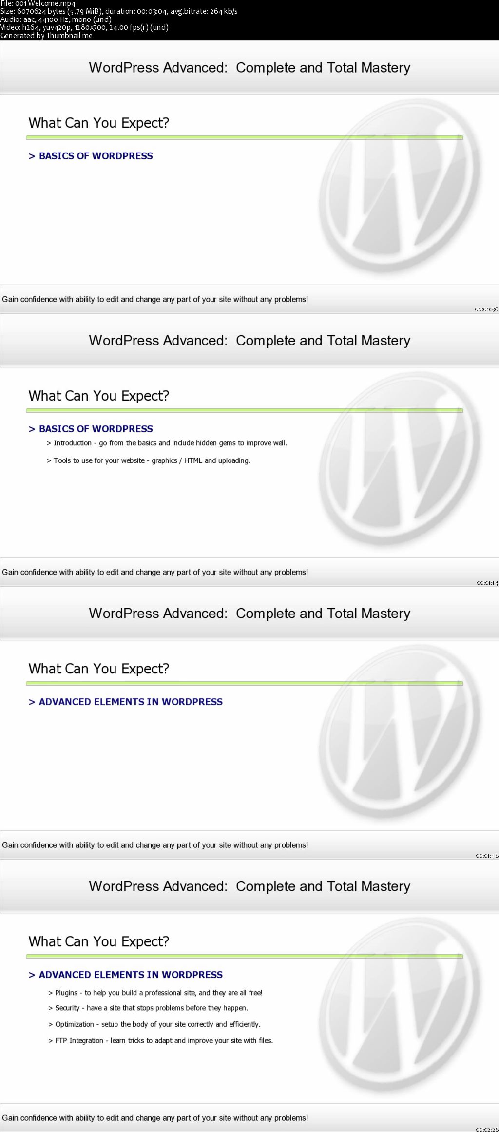 Wordpress Advanced Security and SEO Plugin Mastery