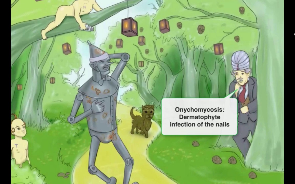 Sketchymicro - Fungi (Chapter 2 - Cutaneous Mycosis)