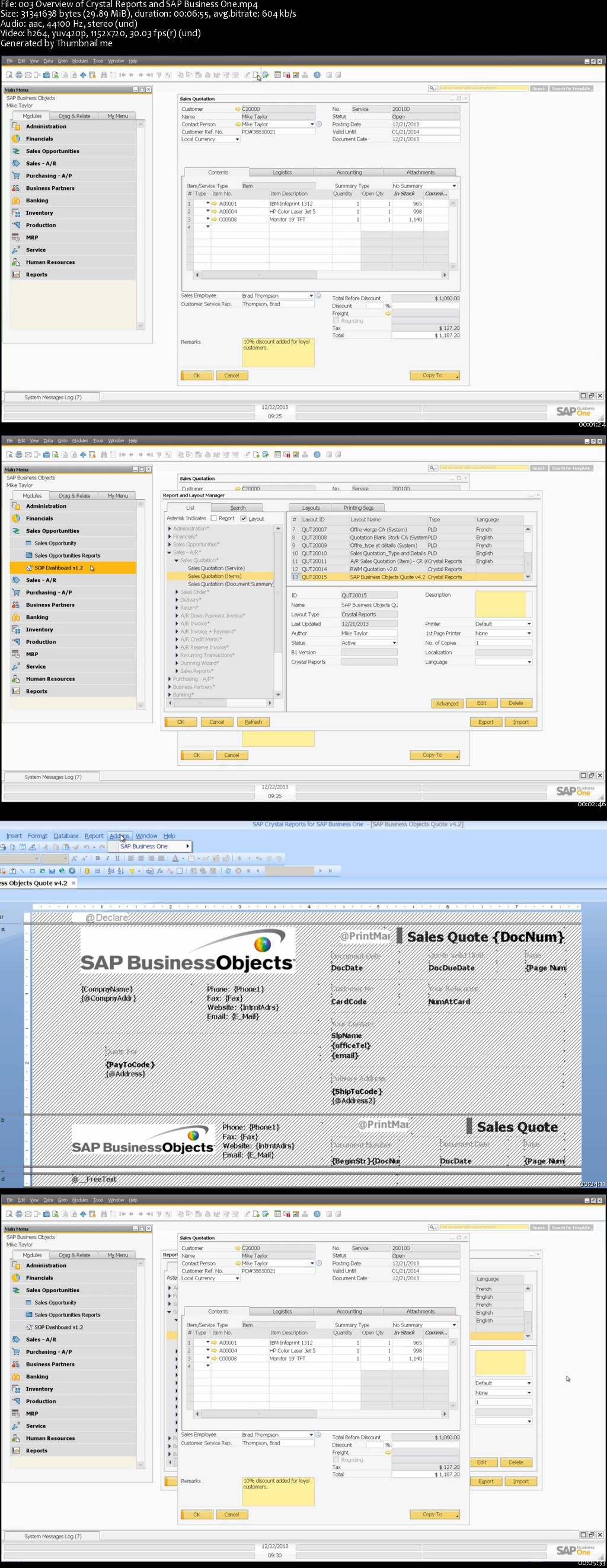 Crystal Reports for SAP Business One Mastery Training Course 