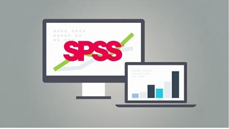 Statistics / Data Analysis in SPSS: Descriptive Statistics