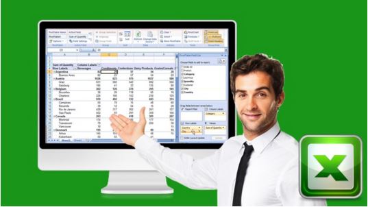 Amazing Reports and Data Analysis with Excel Pivot Tables