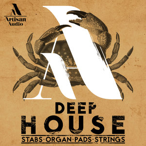 Artisan Audio – Deep House Stabs Organ Pads and Strings [WAV MiDi]