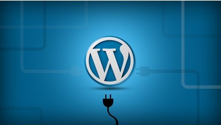 Learn Plugin Development in WordPress By Building Projects