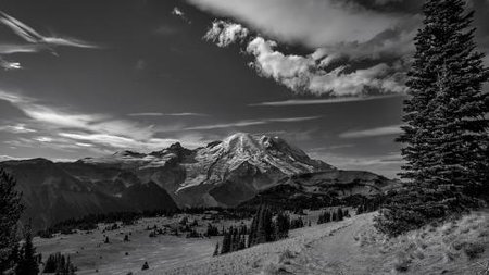 Become a Master of Black & White Photography