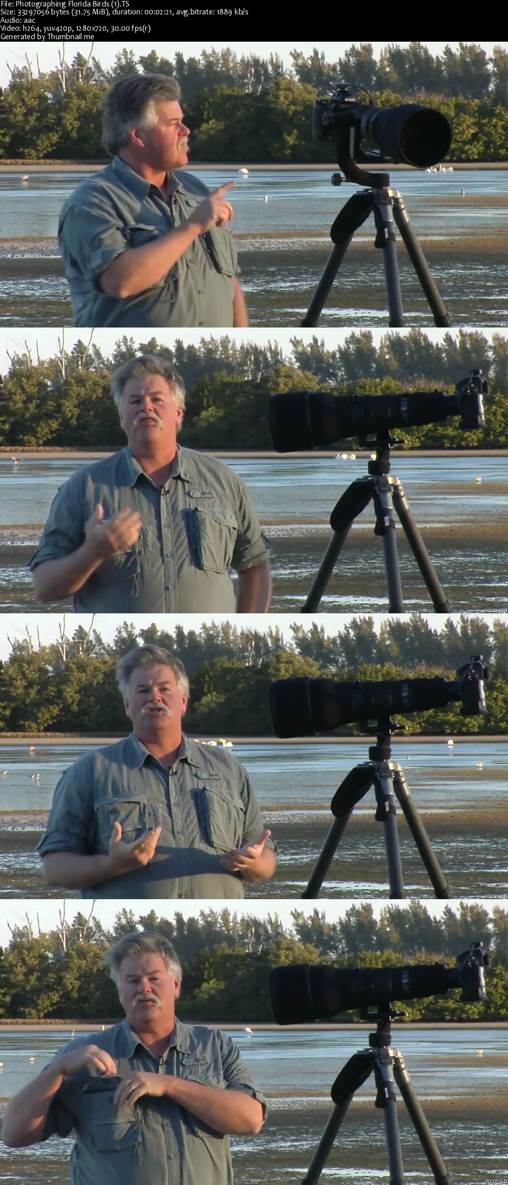 Photographing Florida Birds