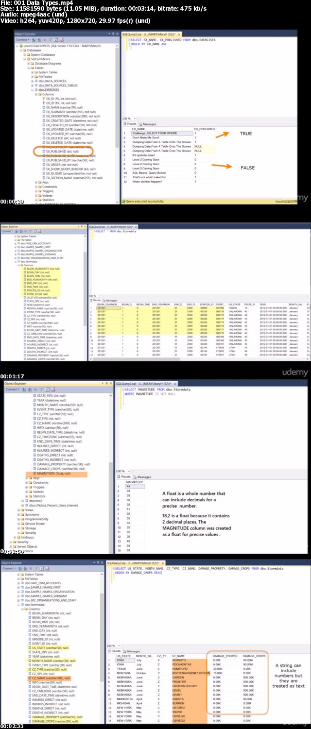 SQL for the Workplace with Bespoke Interactive Exercises