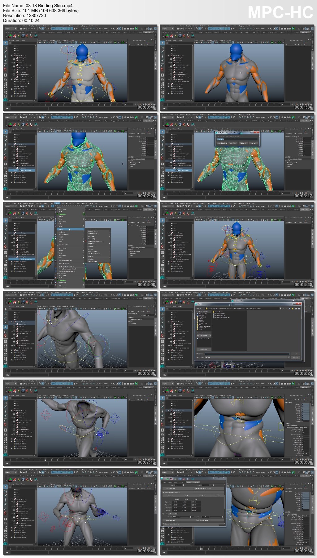 Exploring Human Muscles Setup in Maya