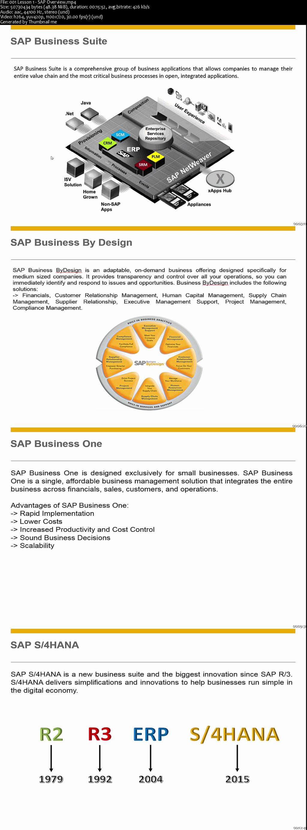 SAP for Beginners - Comprehensive Guide 2016