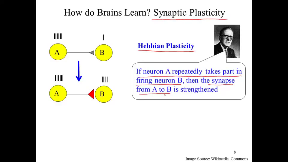 Coursera: Computational Neuroscience [repost]