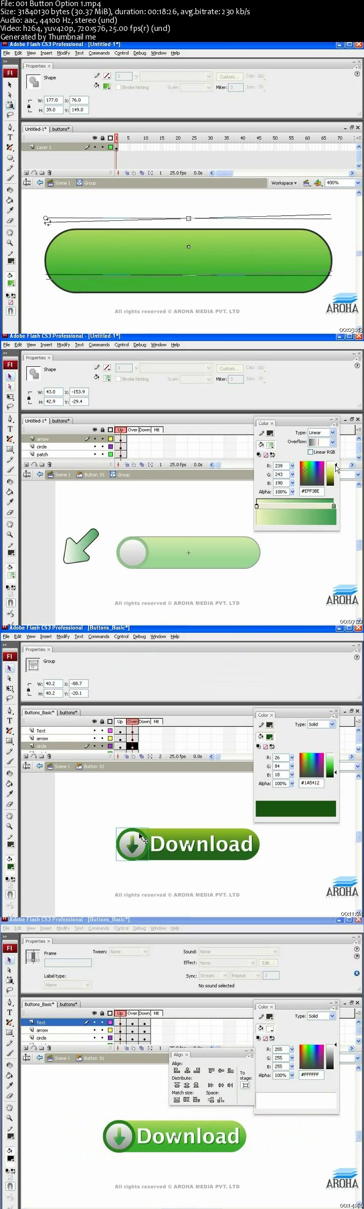 2D Digital Animation with Flash Part-4 (Multimedia)