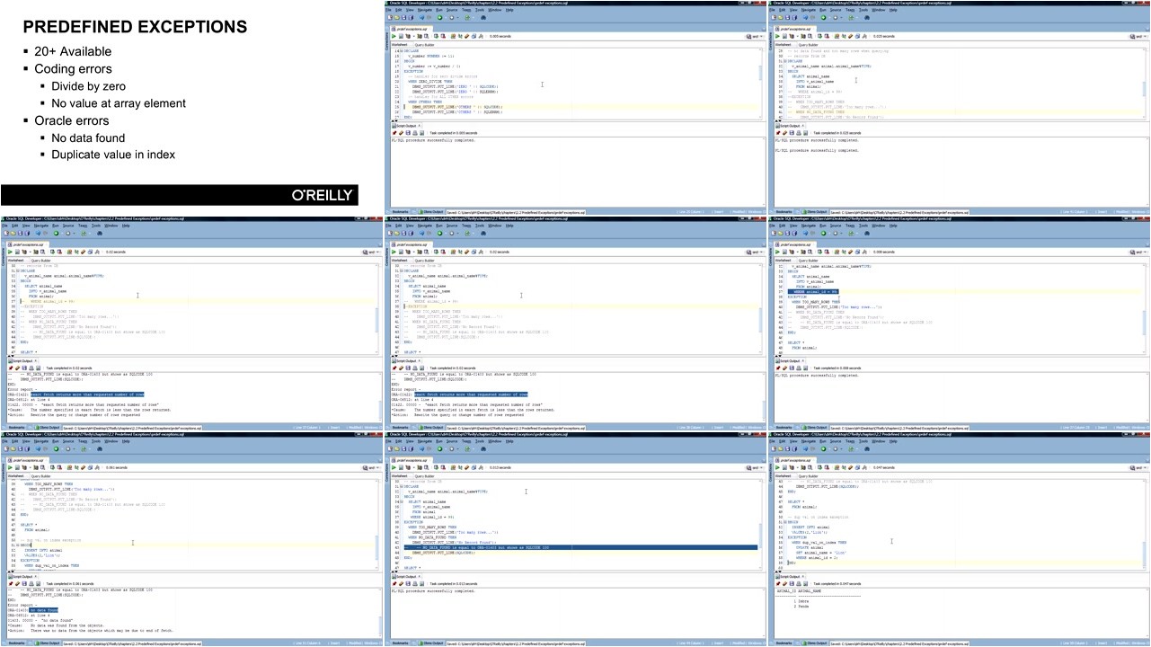 Learning Oracle PL/SQL Training Video